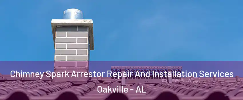 Chimney Spark Arrestor Repair And Installation Services Oakville - AL