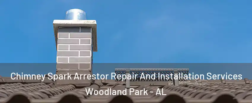 Chimney Spark Arrestor Repair And Installation Services Woodland Park - AL