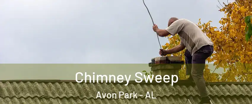 Chimney Sweep Avon Park - AL