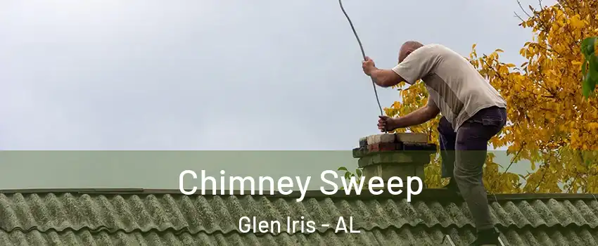 Chimney Sweep Glen Iris - AL