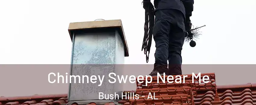 Chimney Sweep Near Me Bush Hills - AL