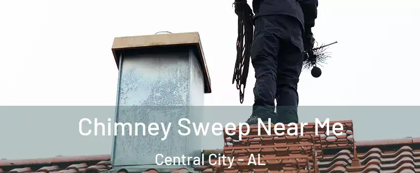Chimney Sweep Near Me Central City - AL