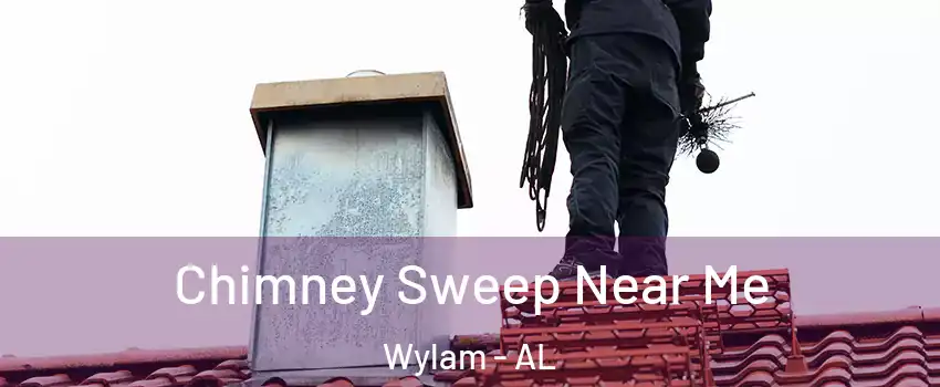 Chimney Sweep Near Me Wylam - AL