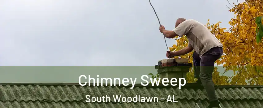 Chimney Sweep South Woodlawn - AL