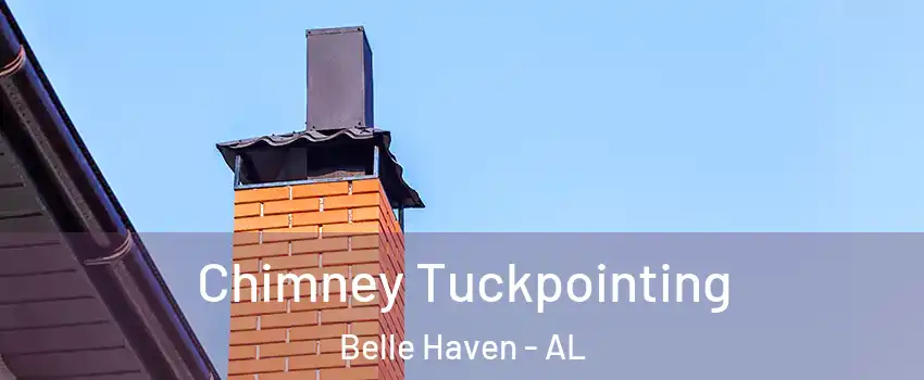 Chimney Tuckpointing Belle Haven - AL