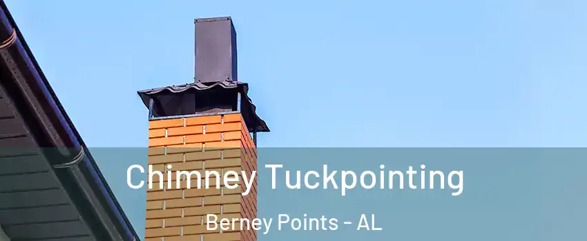 Chimney Tuckpointing Berney Points - AL