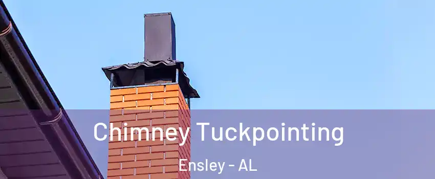 Chimney Tuckpointing Ensley - AL