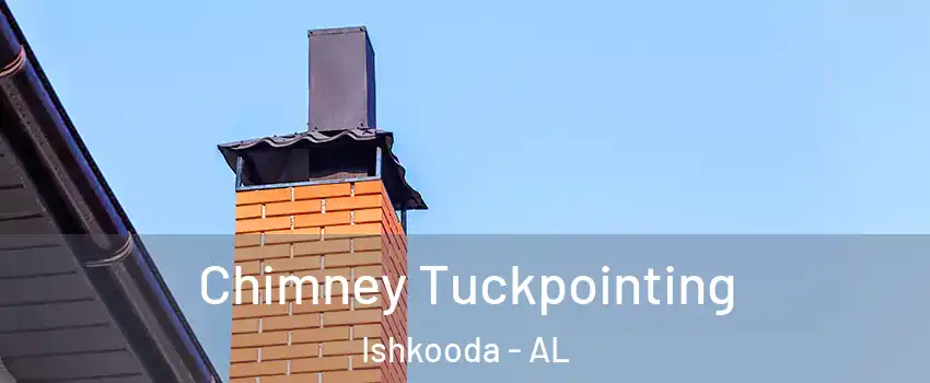 Chimney Tuckpointing Ishkooda - AL