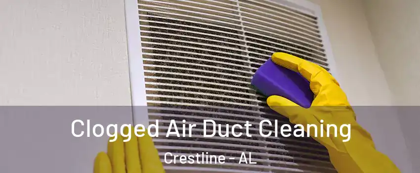 Clogged Air Duct Cleaning Crestline - AL