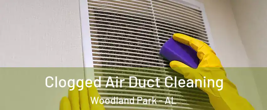 Clogged Air Duct Cleaning Woodland Park - AL