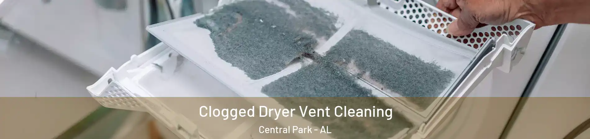 Clogged Dryer Vent Cleaning Central Park - AL