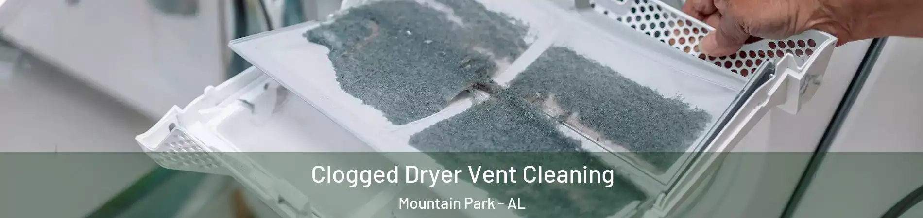 Clogged Dryer Vent Cleaning Mountain Park - AL