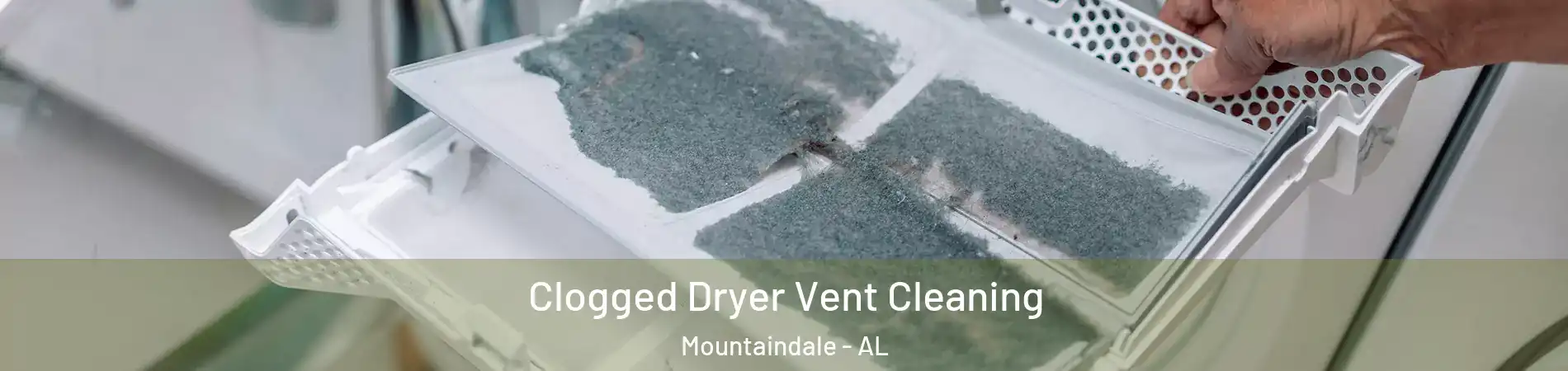 Clogged Dryer Vent Cleaning Mountaindale - AL