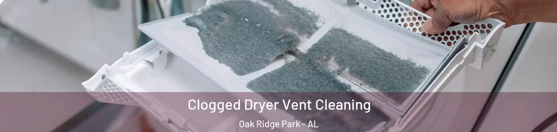 Clogged Dryer Vent Cleaning Oak Ridge Park - AL