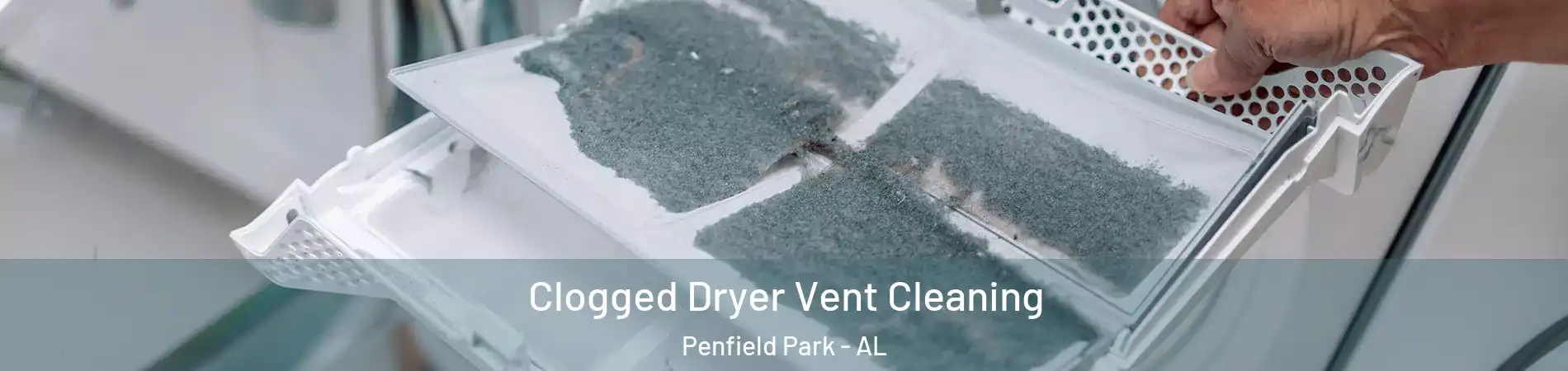 Clogged Dryer Vent Cleaning Penfield Park - AL