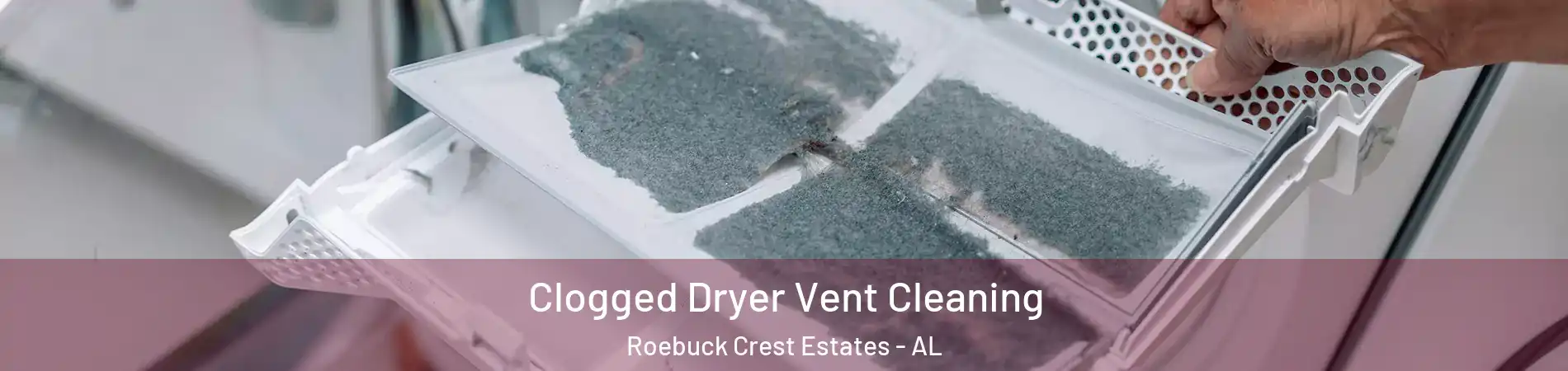 Clogged Dryer Vent Cleaning Roebuck Crest Estates - AL