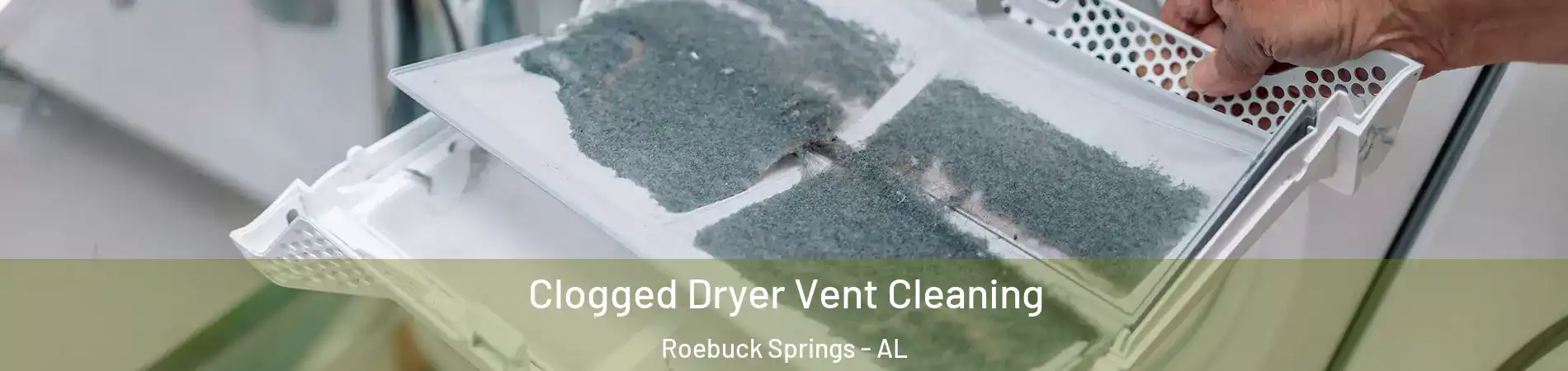 Clogged Dryer Vent Cleaning Roebuck Springs - AL