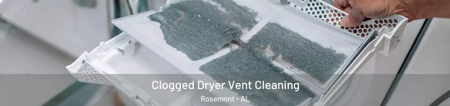 Clogged Dryer Vent Cleaning Rosemont - AL