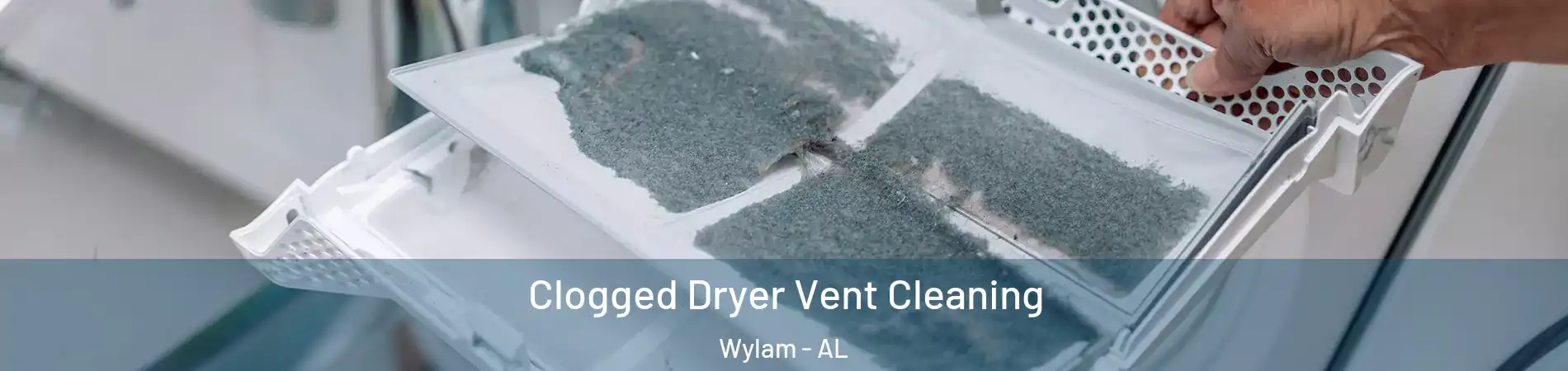 Clogged Dryer Vent Cleaning Wylam - AL