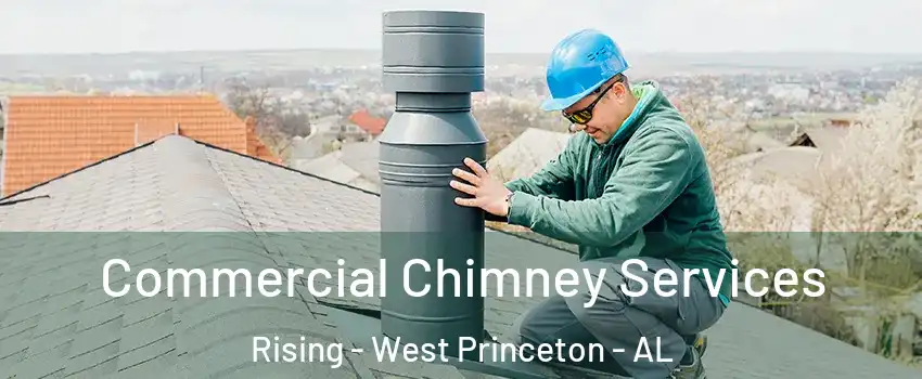 Commercial Chimney Services Rising - West Princeton - AL