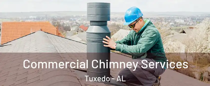 Commercial Chimney Services Tuxedo - AL