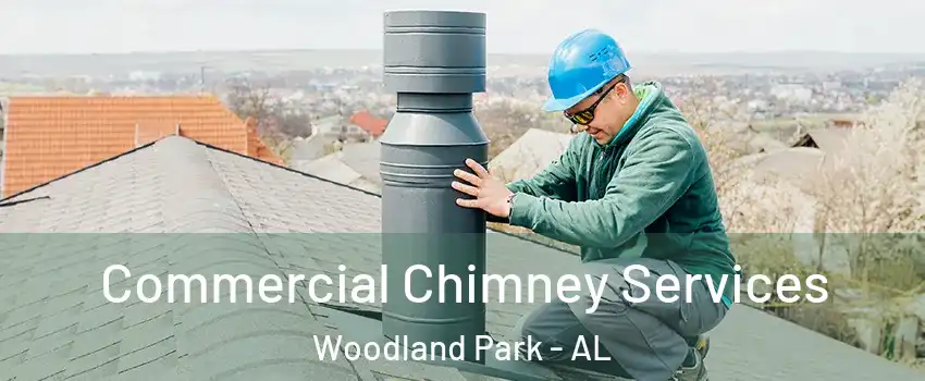 Commercial Chimney Services Woodland Park - AL