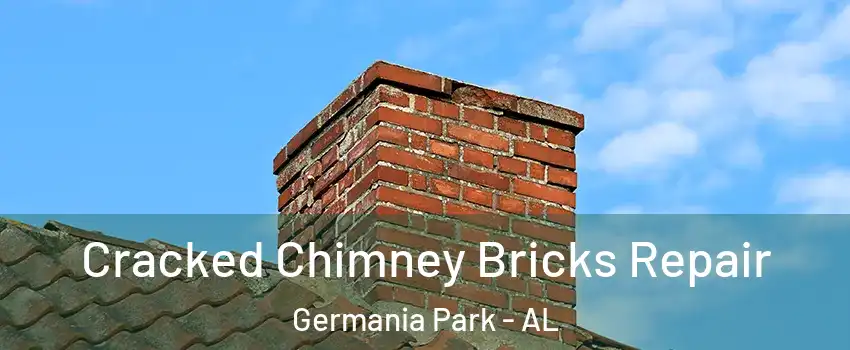 Cracked Chimney Bricks Repair Germania Park - AL