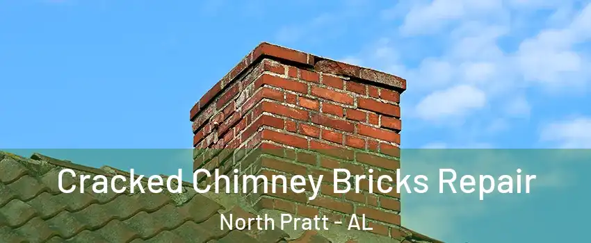 Cracked Chimney Bricks Repair North Pratt - AL