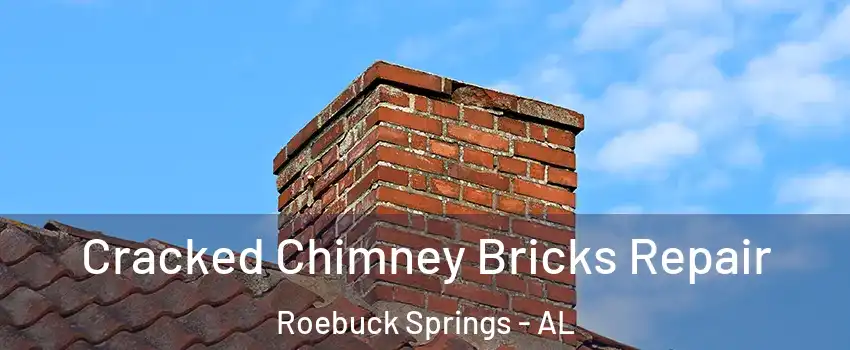 Cracked Chimney Bricks Repair Roebuck Springs - AL