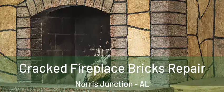 Cracked Fireplace Bricks Repair Norris Junction - AL