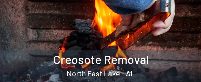 Creosote Removal North East Lake - AL
