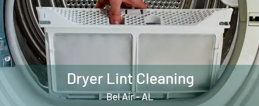 Dryer Lint Cleaning Bel Air - AL