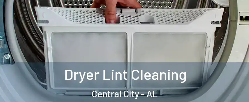 Dryer Lint Cleaning Central City - AL