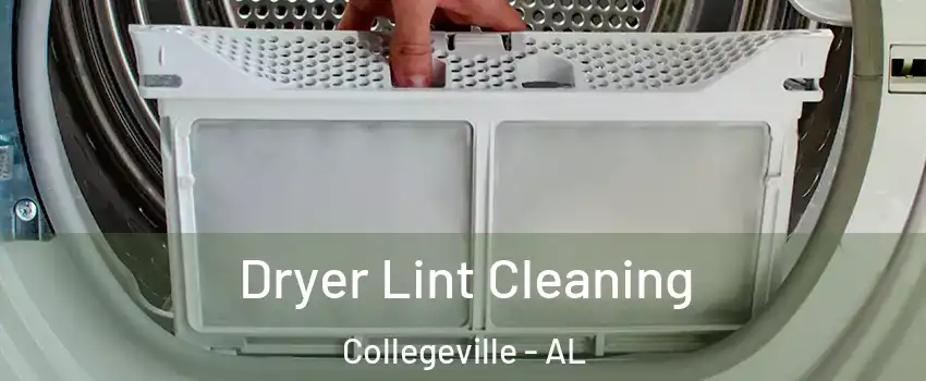 Dryer Lint Cleaning Collegeville - AL