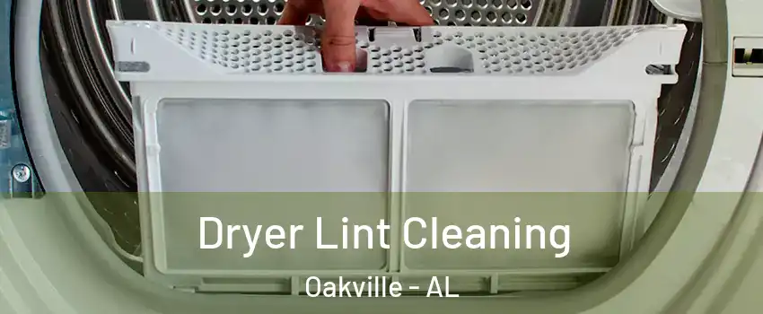 Dryer Lint Cleaning Oakville - AL