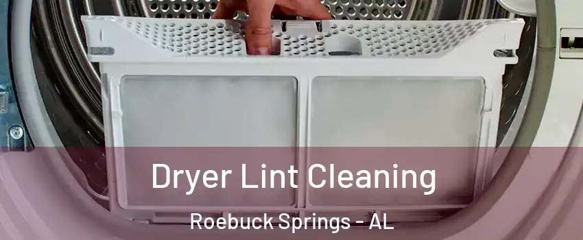 Dryer Lint Cleaning Roebuck Springs - AL