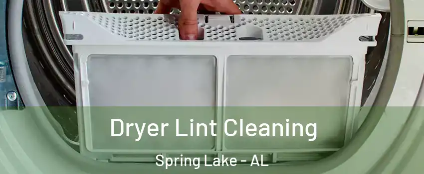 Dryer Lint Cleaning Spring Lake - AL