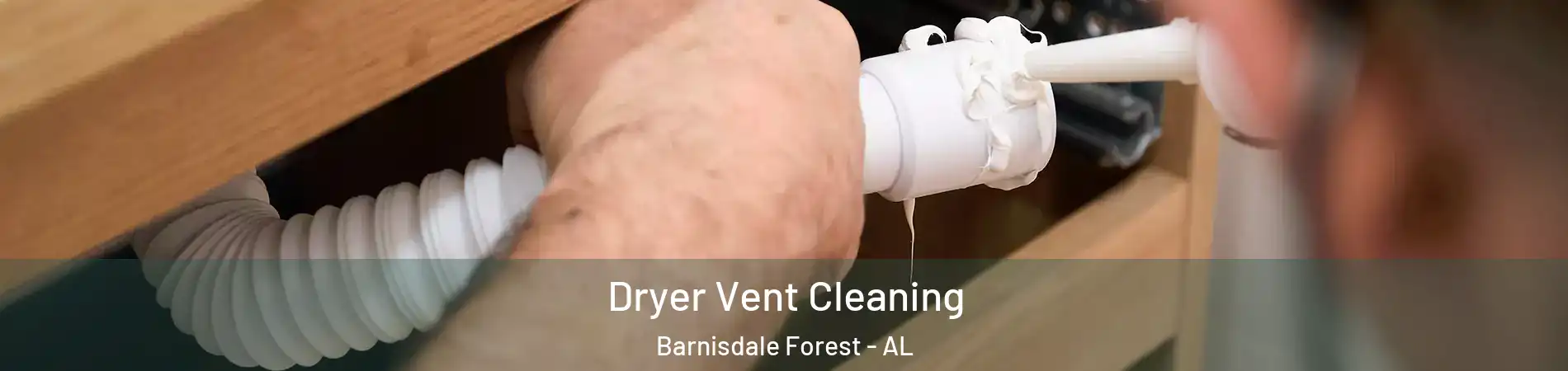 Dryer Vent Cleaning Barnisdale Forest - AL