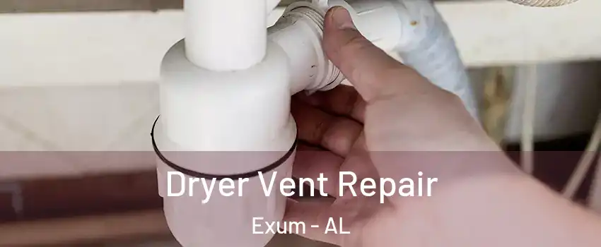 Dryer Vent Repair Exum - AL