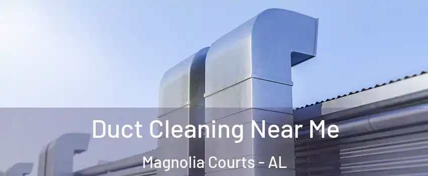 Duct Cleaning Near Me Magnolia Courts - AL