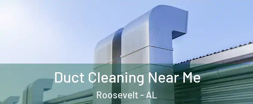 Duct Cleaning Near Me Roosevelt - AL