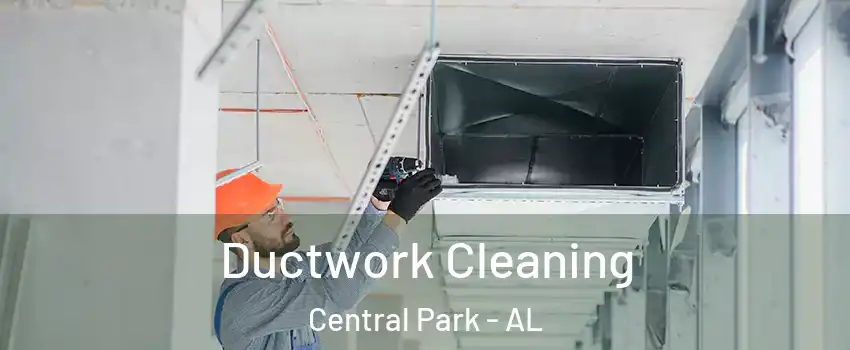 Ductwork Cleaning Central Park - AL