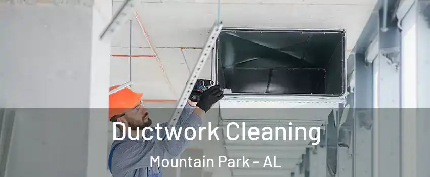 Ductwork Cleaning Mountain Park - AL