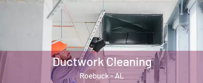 Ductwork Cleaning Roebuck - AL