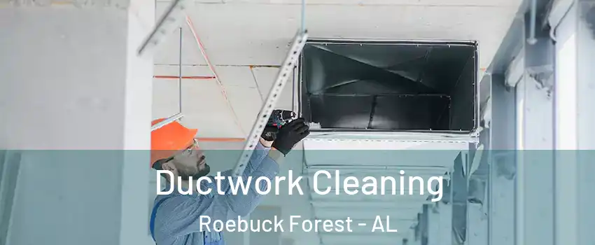 Ductwork Cleaning Roebuck Forest - AL