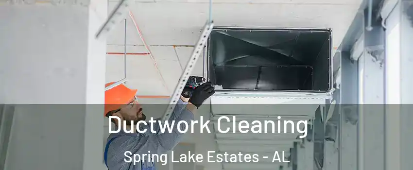 Ductwork Cleaning Spring Lake Estates - AL