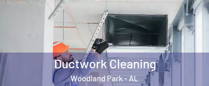 Ductwork Cleaning Woodland Park - AL