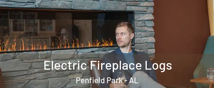 Electric Fireplace Logs Penfield Park - AL