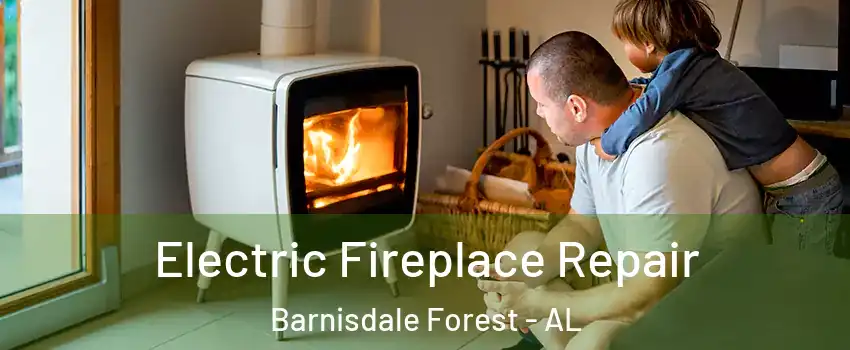 Electric Fireplace Repair Barnisdale Forest - AL