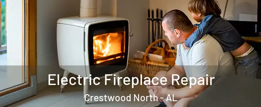 Electric Fireplace Repair Crestwood North - AL